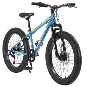 S24109 Leconey 24 Inch Flat Tire Bike Adult/Youth